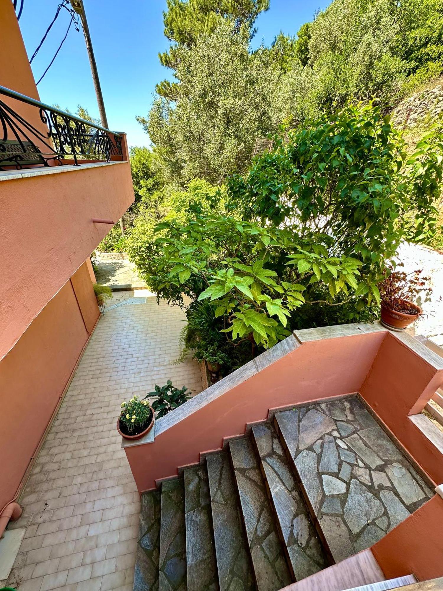 Horizon Apartments Agios Gordios  Zewnętrze zdjęcie